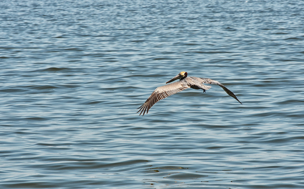 D5100_01385.jpg
