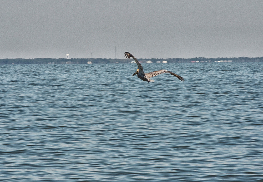 D5100_01387.jpg