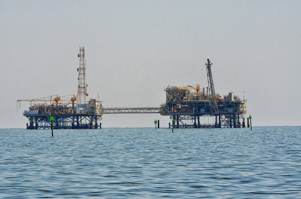 D5100_01393.jpg