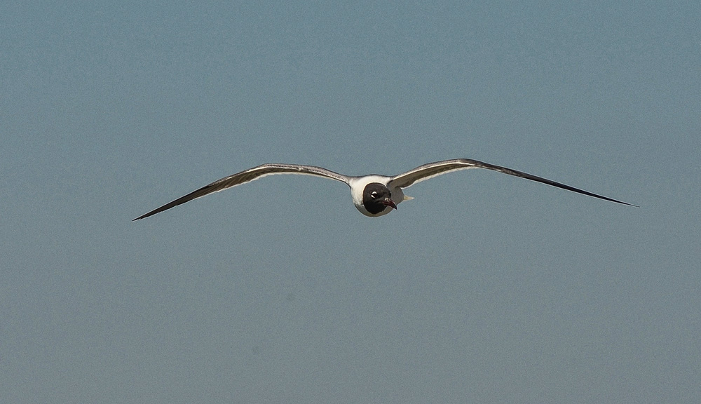 D5100_01425.jpg