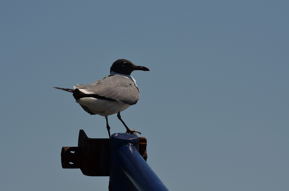 D5100_01450.jpg