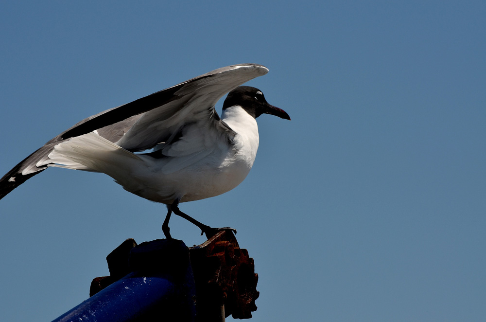 D5100_01454.jpg