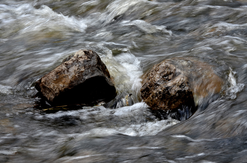 D5100_01500.jpg