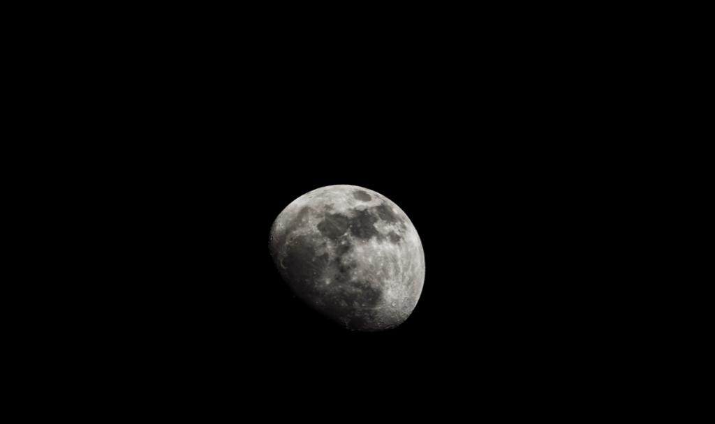 D5100_02573.jpg