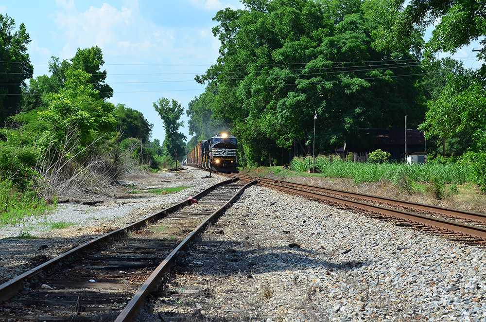 D5100_03983.jpg