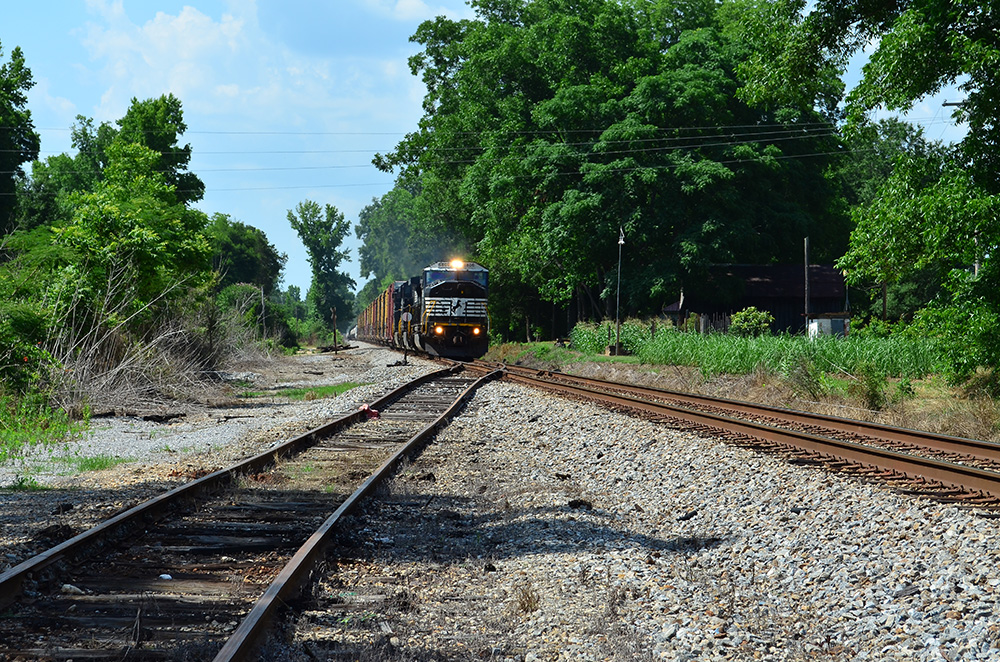 D5100_03984.jpg