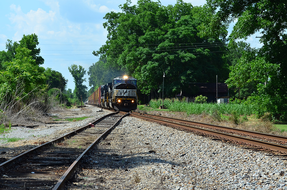 D5100_03985.jpg