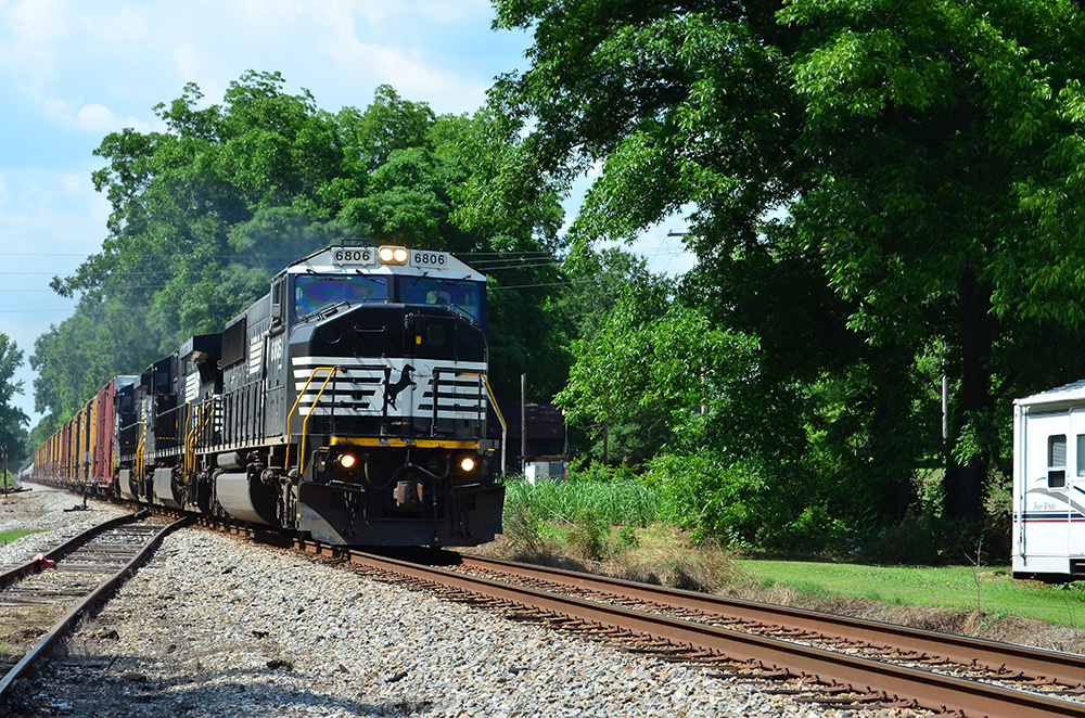 D5100_03987.jpg