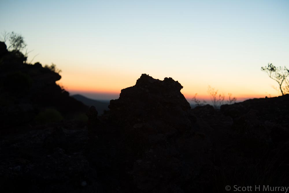 D60_0467-2.jpg