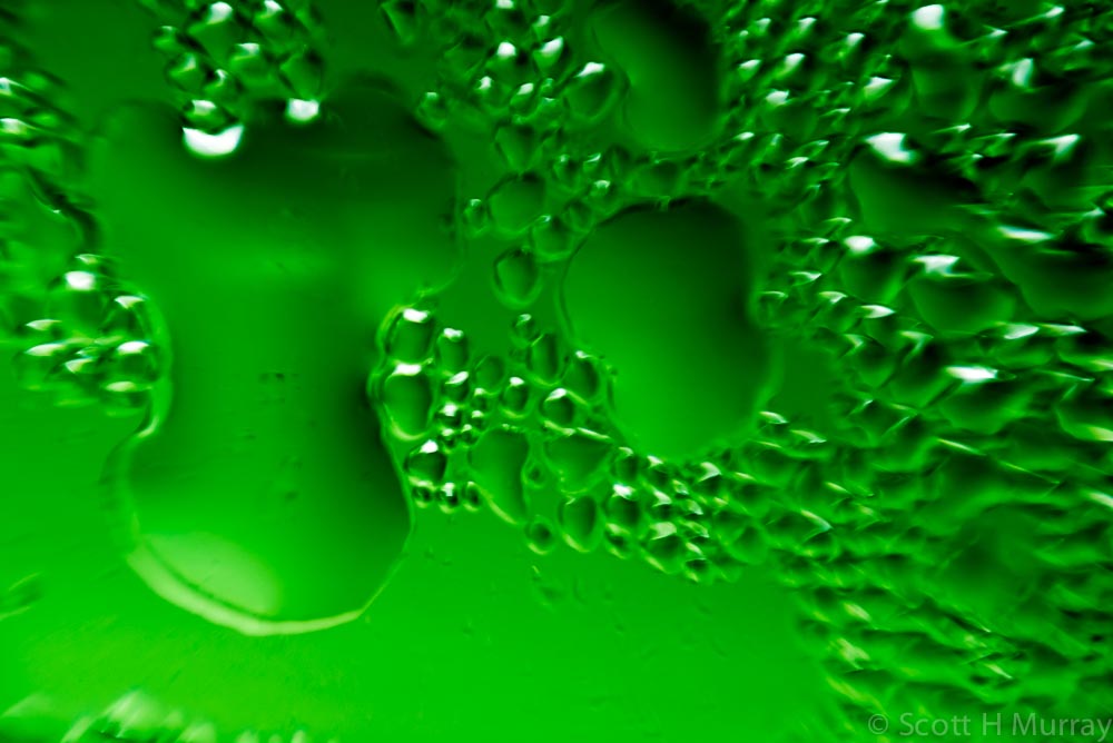 D60_1522.jpg
