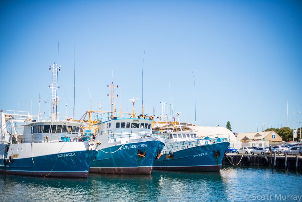 D60_1555.jpg