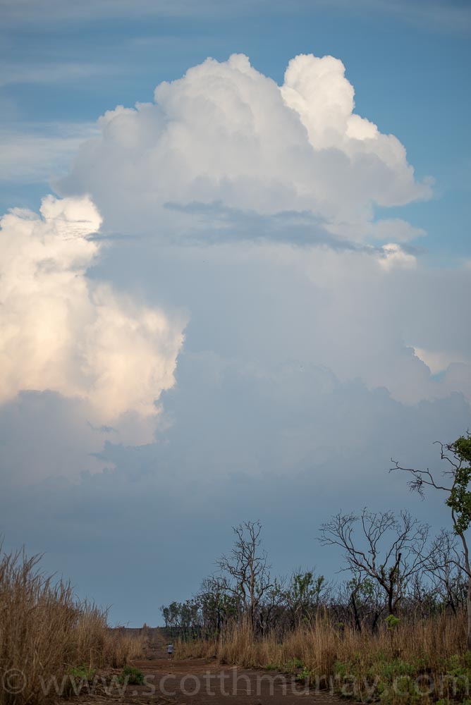 D60_3118.jpg