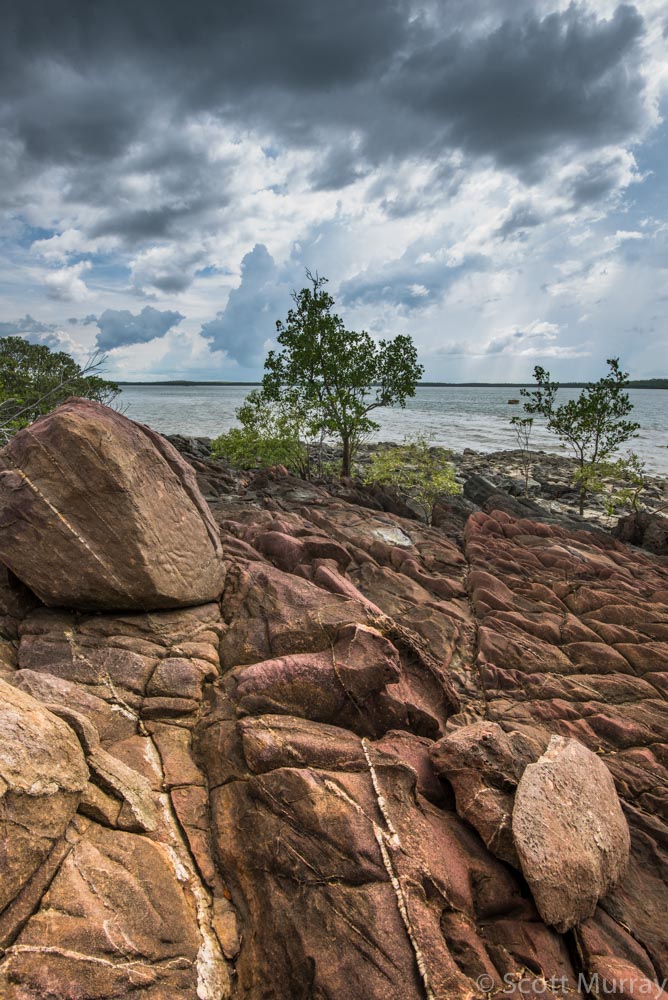 D60_3211.jpg