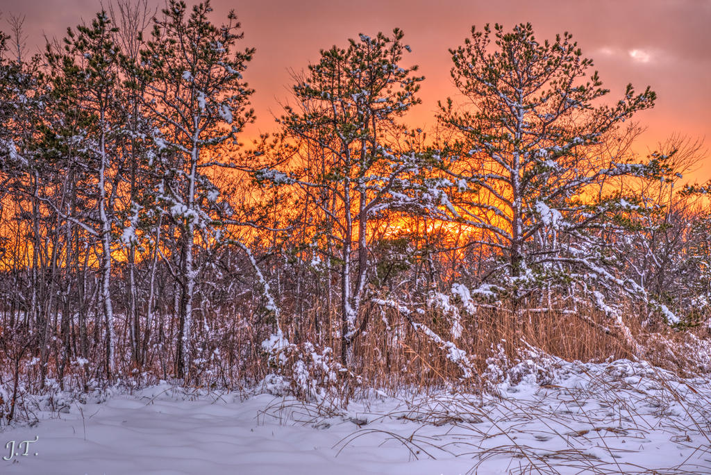 D610#2 Blackpoint-Snow HD13b.jpg