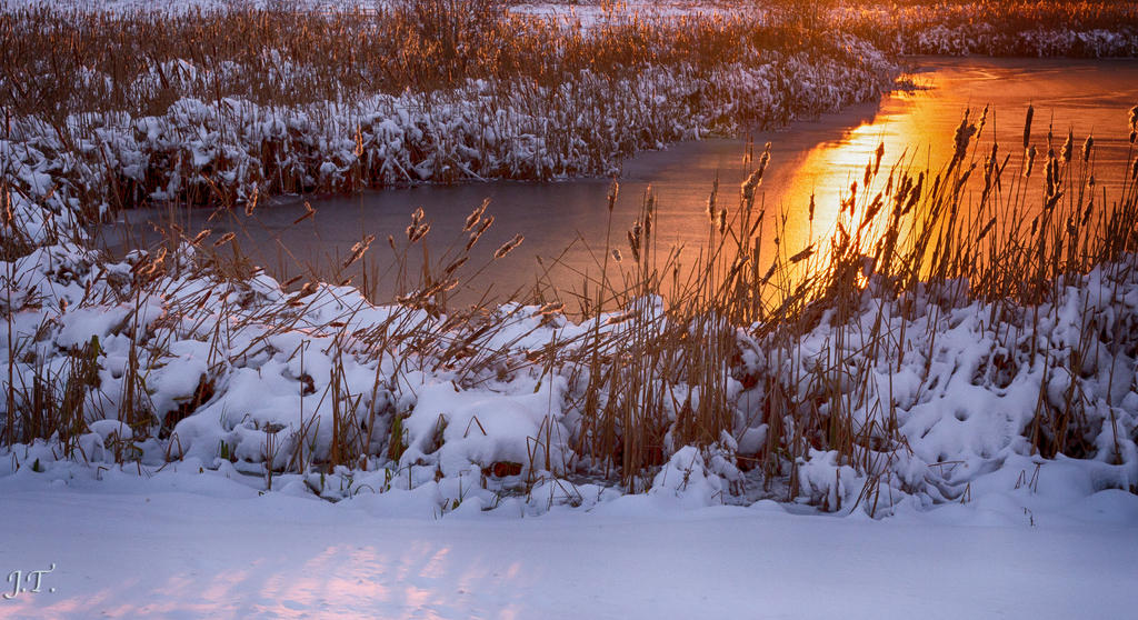 D610#2 Blackpoint-Snow HD3.jpg