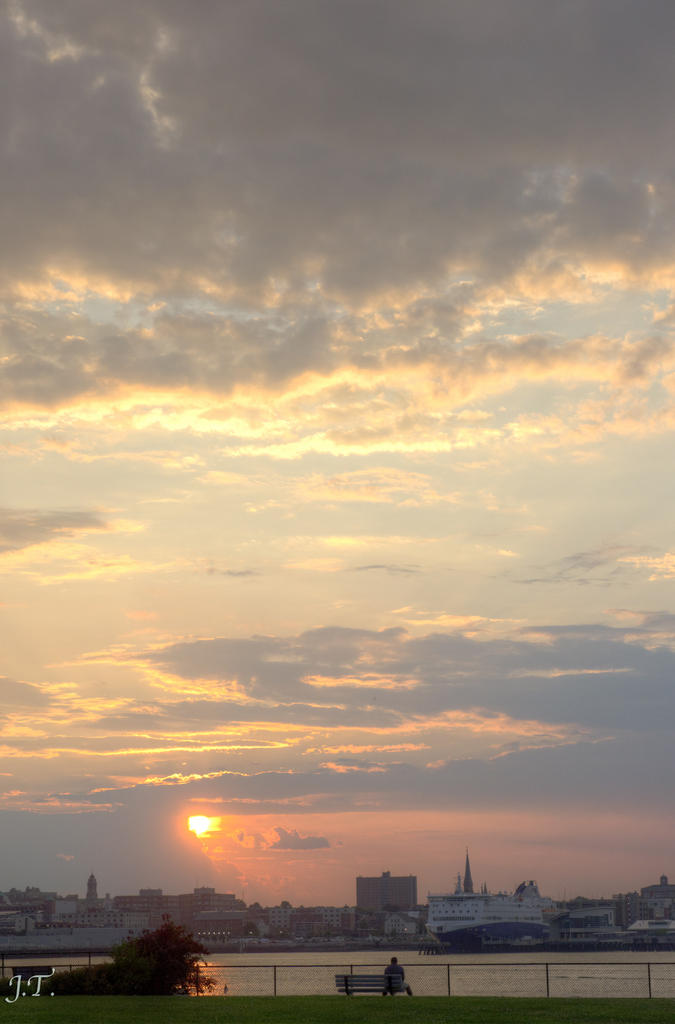 D610 #2 Bug Sunset HD3c.jpg