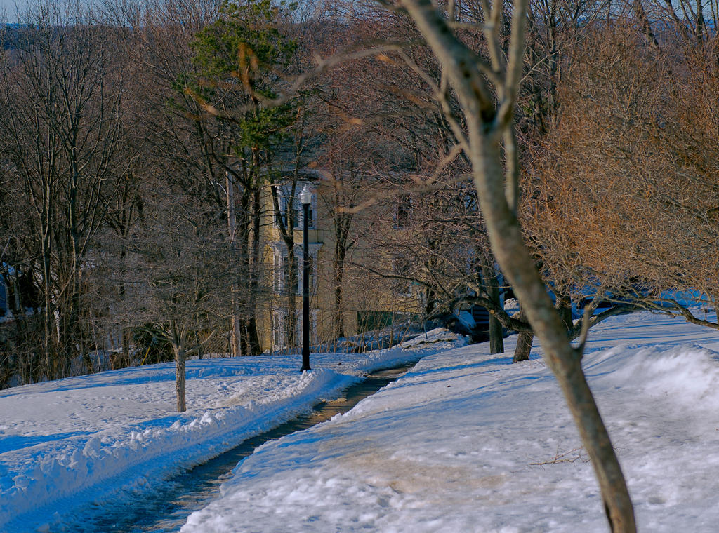 D610#2 W. Prom. #2-24-70-Polarizer-Winter HD2d.jpg