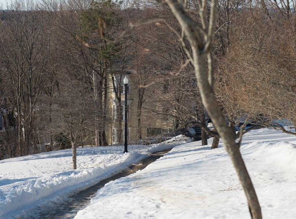 D610#2 W. Prom. #2-24-70-Polarizer-Winter HD3.jpg