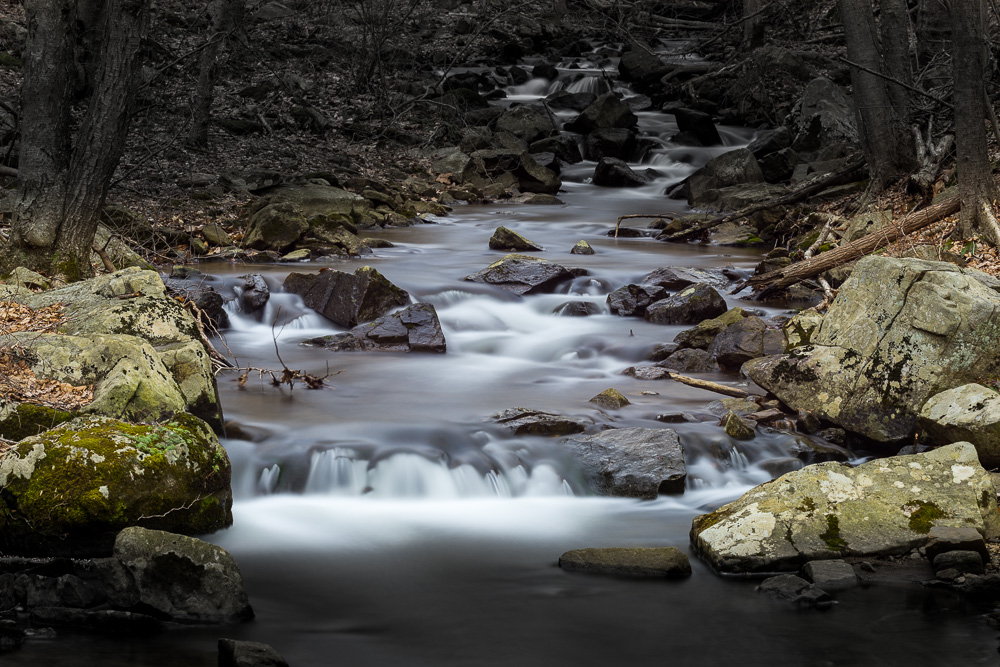 D62_5256.jpg