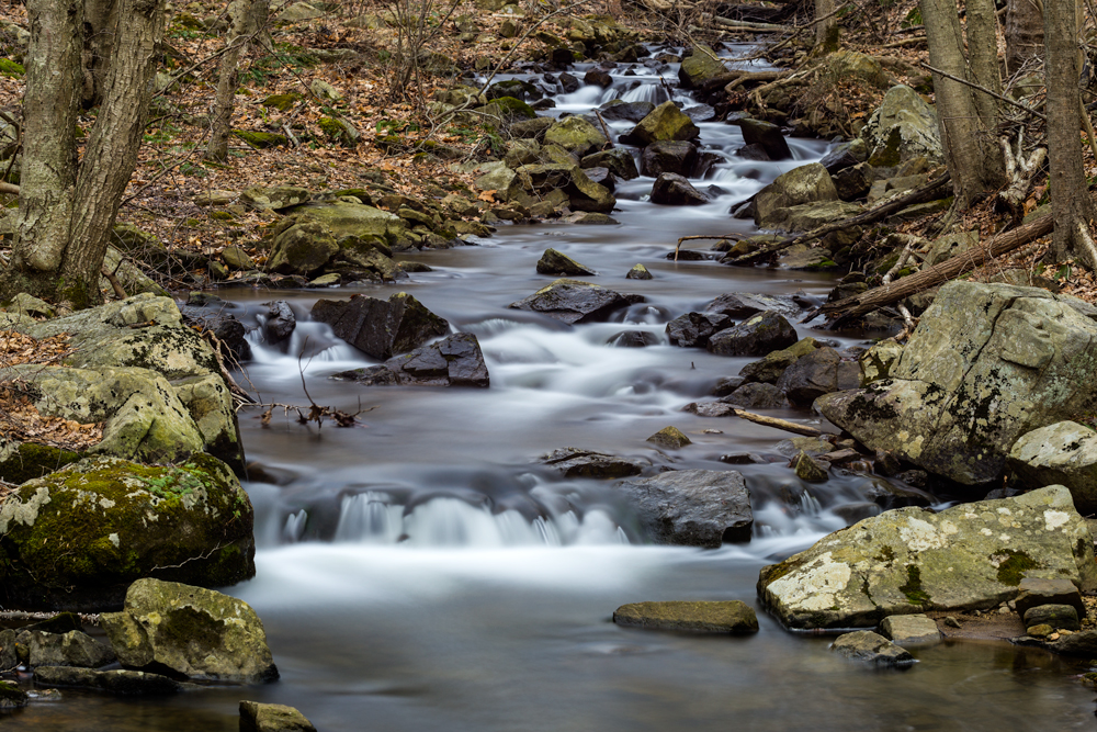 D62_5256-Unsharp.jpg