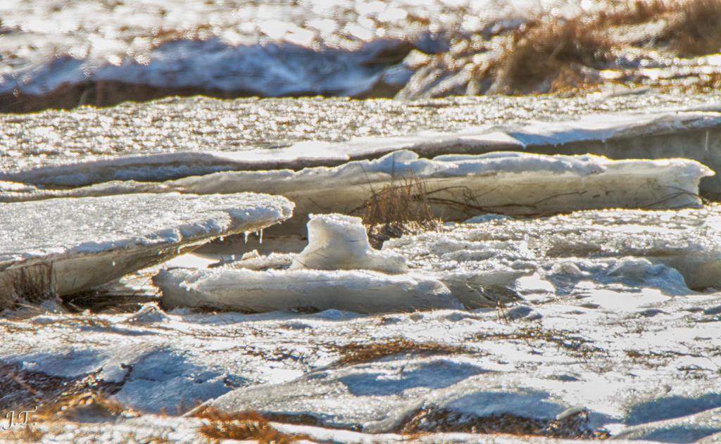 D7100 #3 Blackpoint Rd-Tamron HD1b.jpg