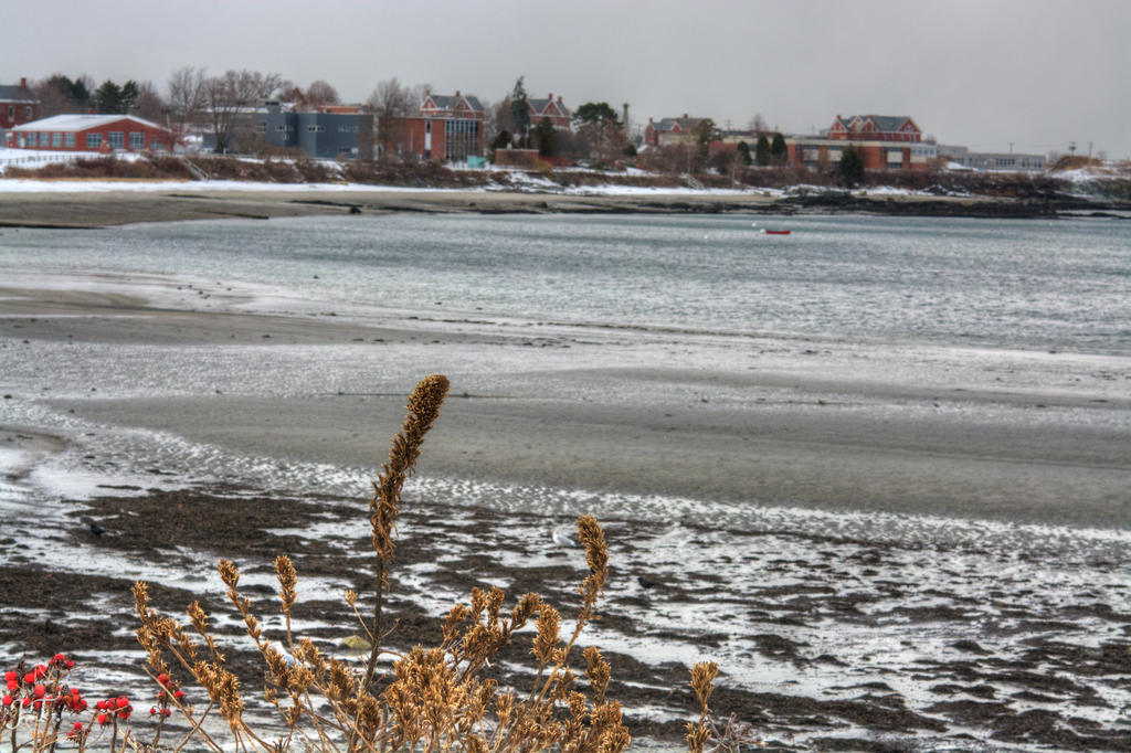 D7100 #3 Cape 60mm-Winter HD5.jpg