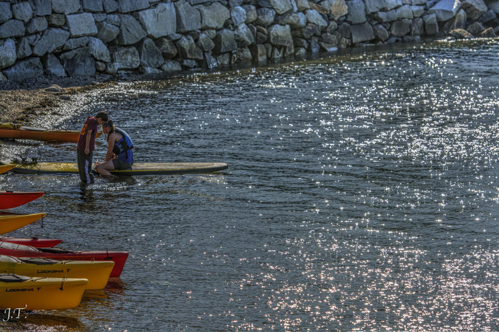 D7100 #3 Cape & Bug-70-200 HD1a.jpg