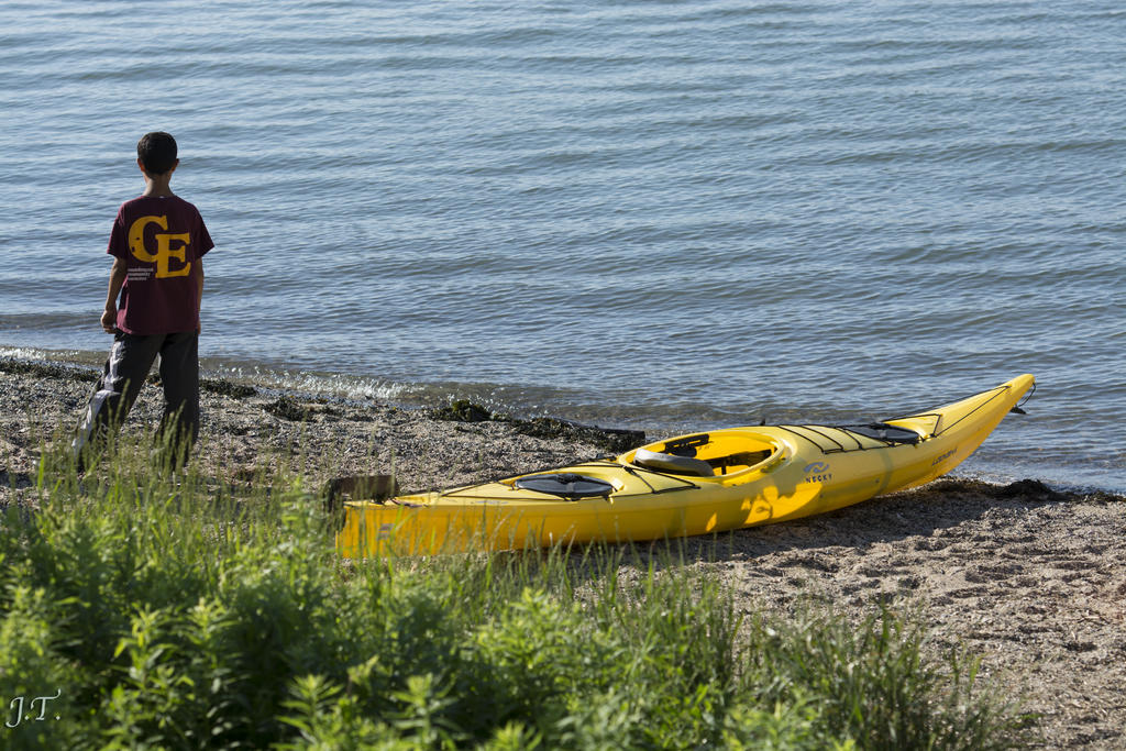 D7100 #3-CapeBug_027.jpg
