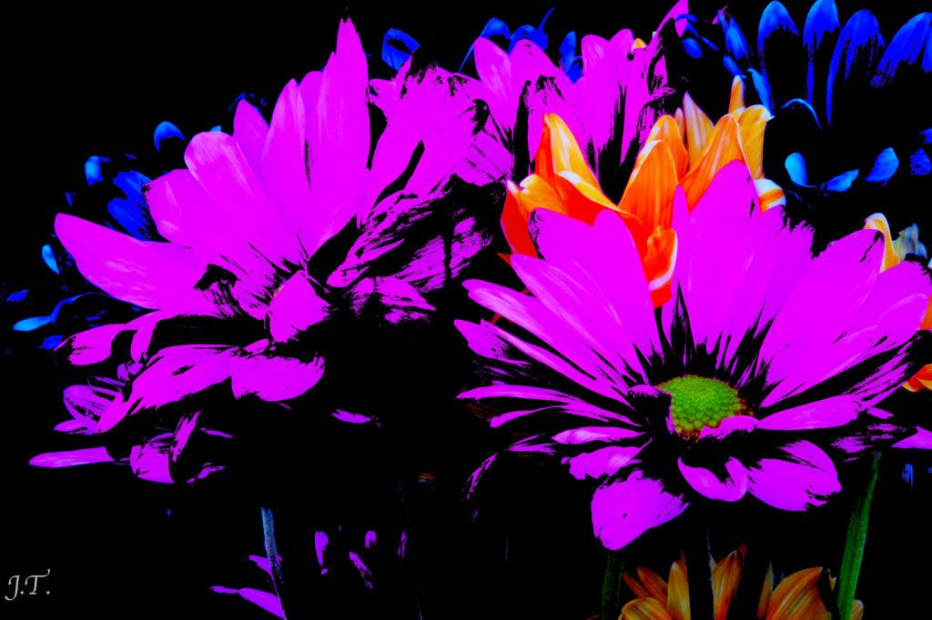 D7100 #3 Flowers Home HD1.jpg