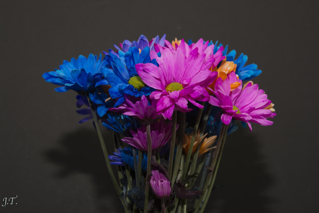 D7100 #3 Flowers_004.jpg