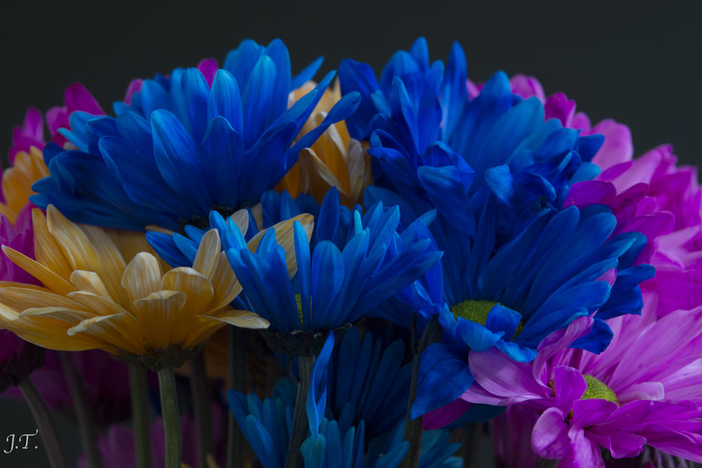 D7100 #3 Flowers_011.jpg