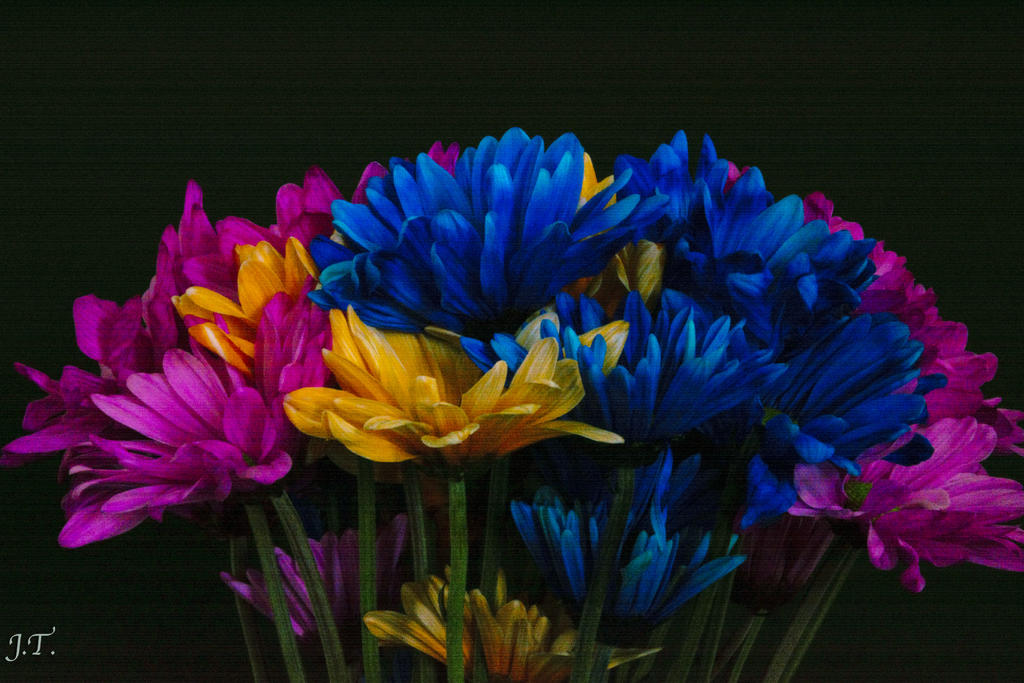 D7100 #3 Flowers_034.jpg
