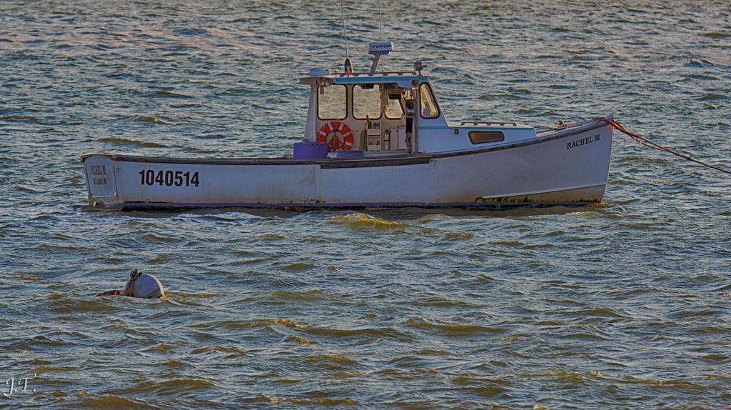 D7100 #3 K. Cove #4-Tamron HD1d.jpg