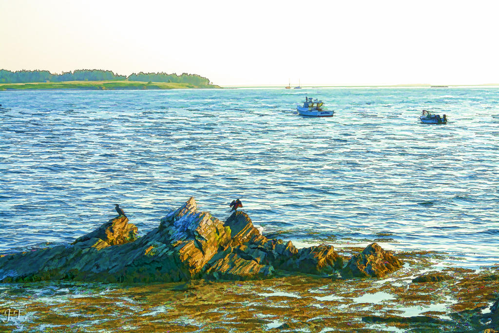 D7100 #3 Kettle Cove HD2.jpg