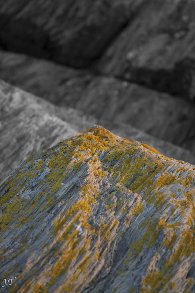 D7100 #3 Kettle Cove HD6.jpg