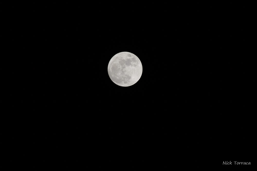 D71_0463-2.jpg