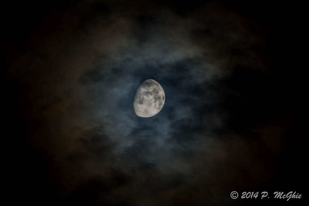 D71_0786.jpg