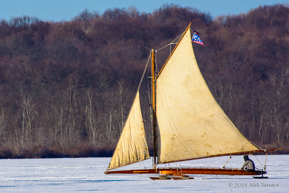 D71_0903.jpg