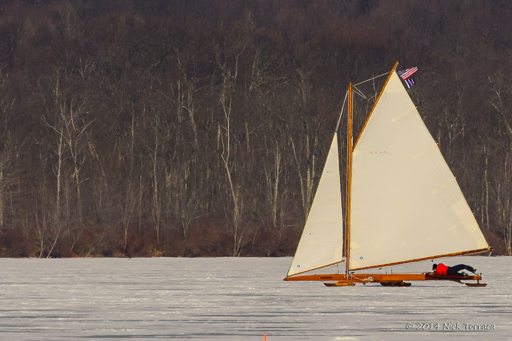 D71_1448.jpg