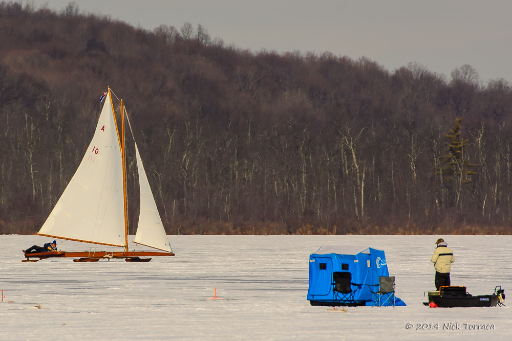 D71_1474.jpg