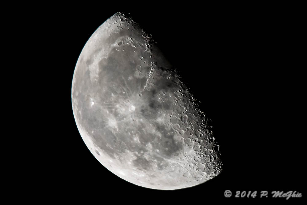 D71_1792.jpg