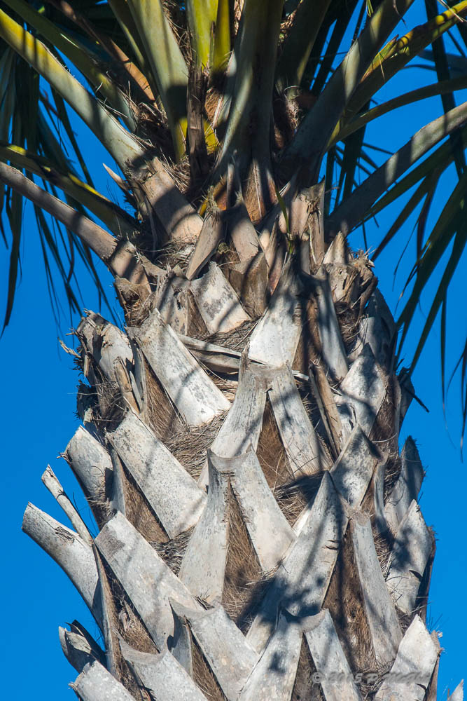 D71_2554.jpg