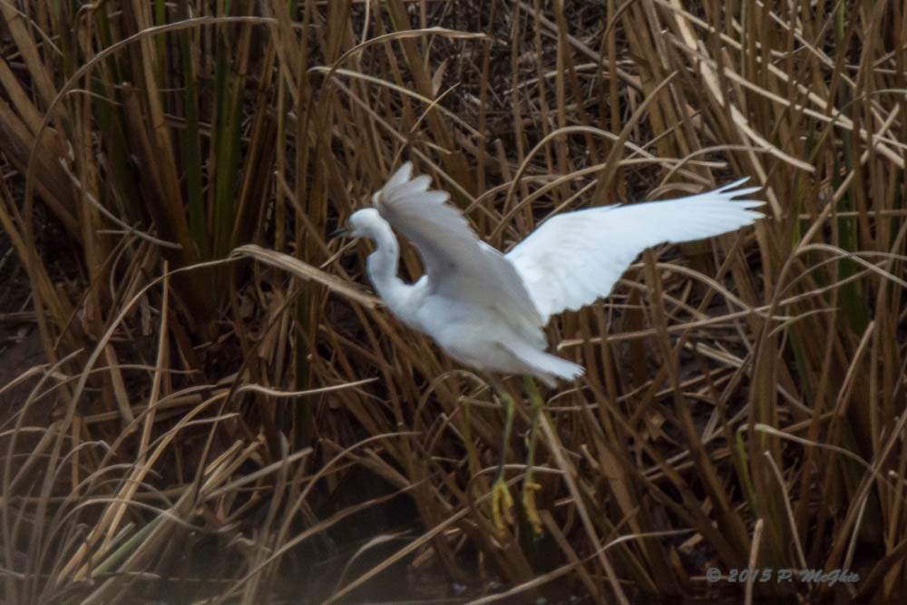 D71_2615.jpg