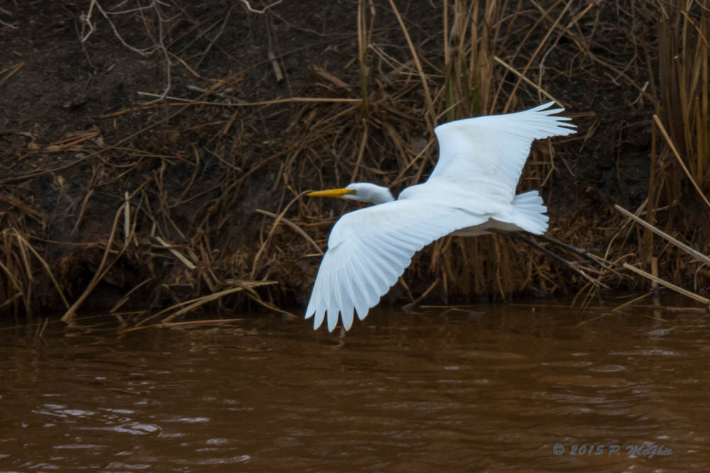 D71_2616.jpg