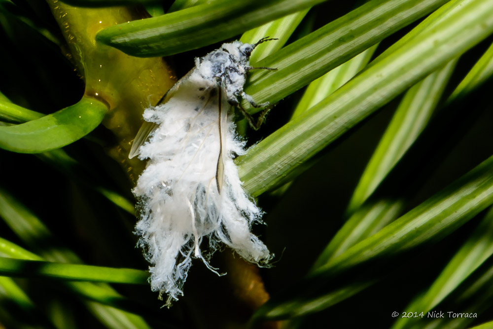 D71_3285.jpg