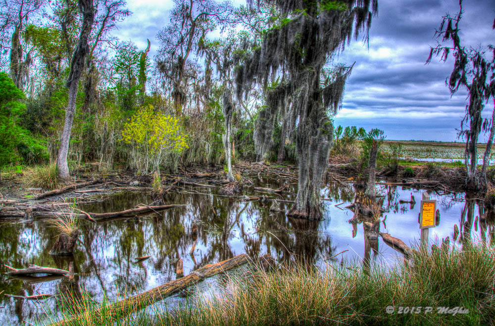 D71_3287_88_89_90_91_tonemapped.jpg