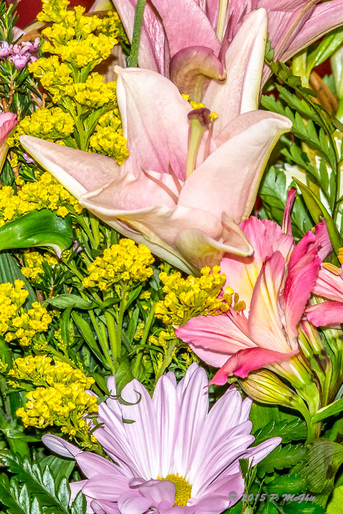 D71_4266-Edit-2.jpg