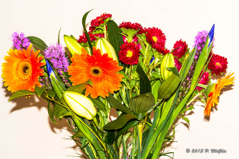 D71_4271-Edit-2.jpg