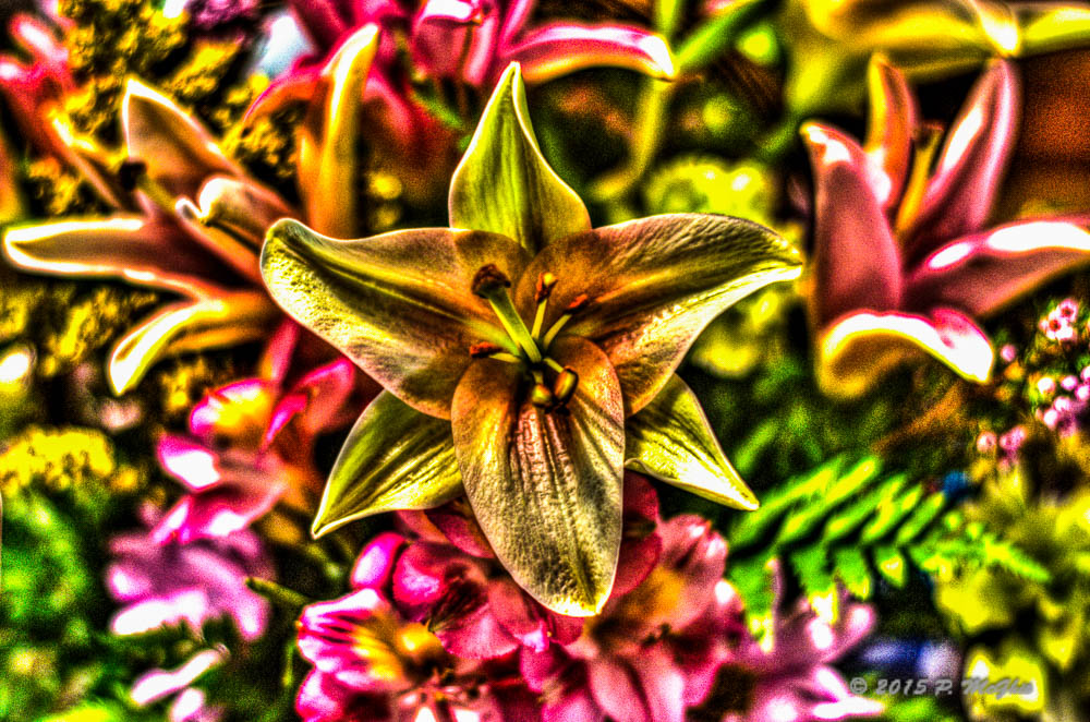 D71_4301_2_3_tonemapped.jpg