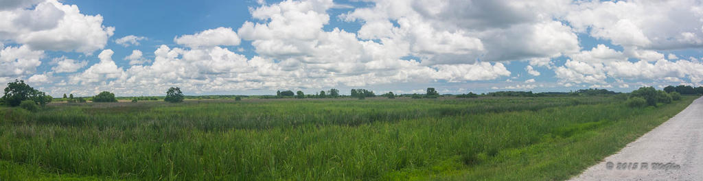 D71_4677-Pano.jpg
